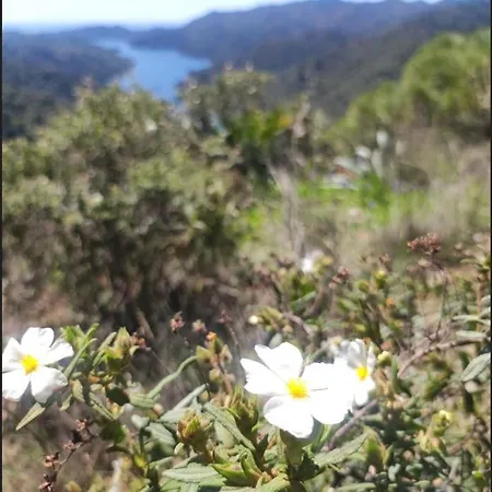 Ferienhaus Manantial De Jaras *