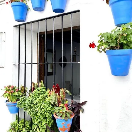 Manantial De Jaras Istán
