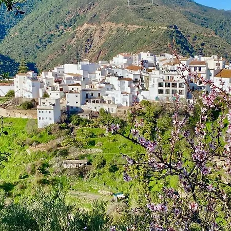 Manantial De Jaras Feriehus Istán